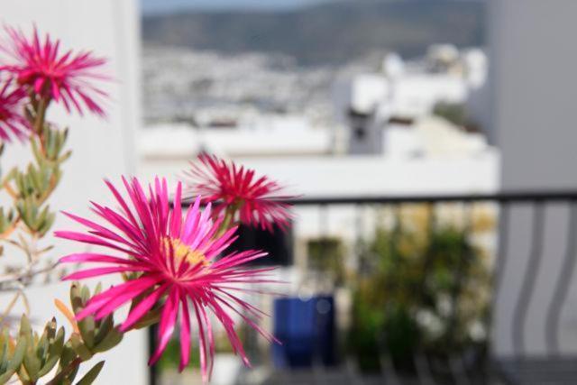 Emelce Apart Bodrum Luaran gambar