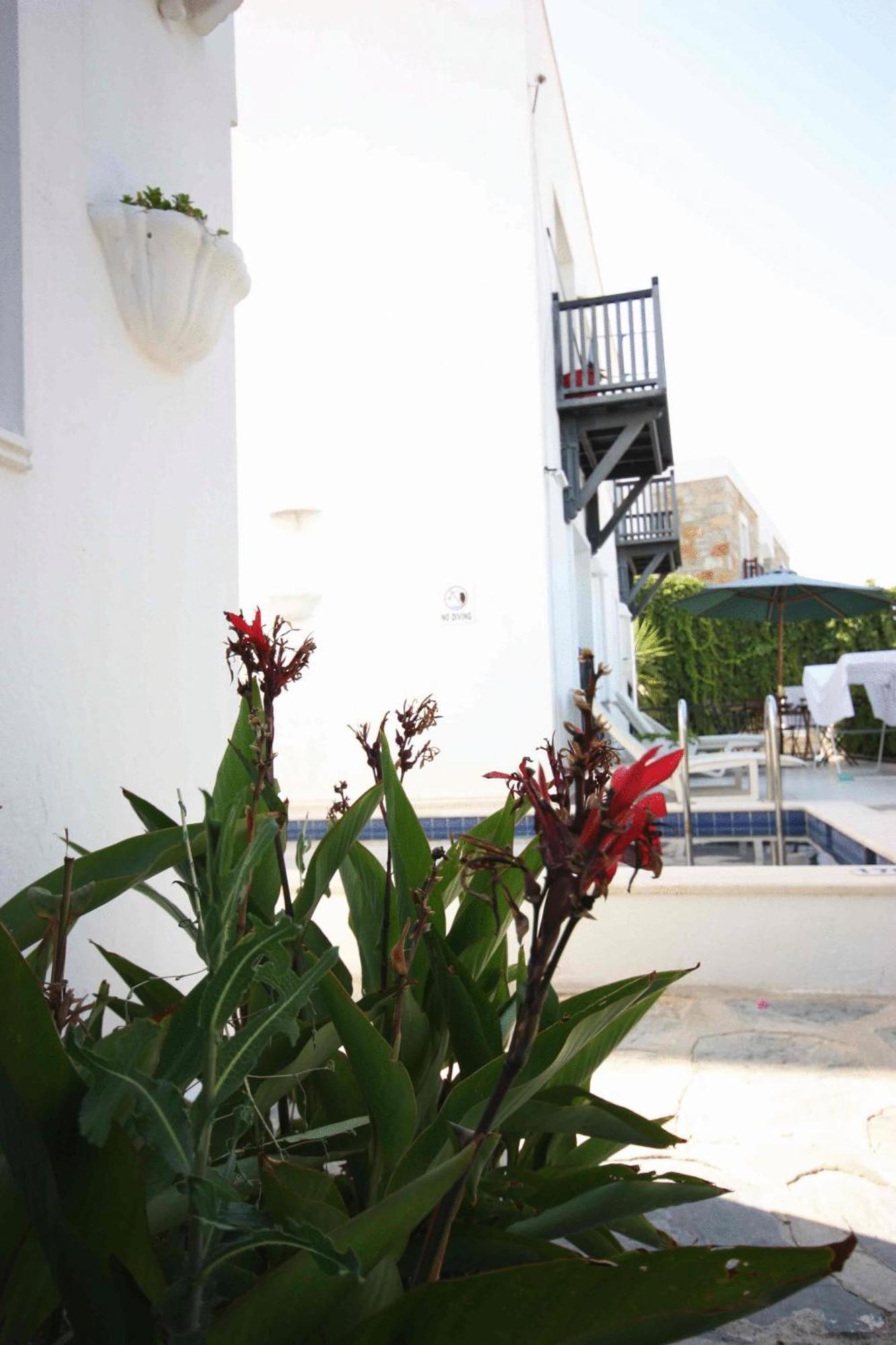 Emelce Apart Bodrum Luaran gambar