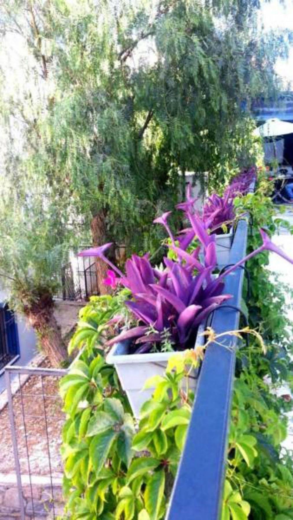Emelce Apart Bodrum Luaran gambar